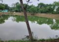 सारंगढ़-बिलाईगढ़ में जल-क्रांति, समृद्ध किसान – सशक्त को कर रहा है साकार……