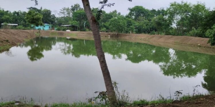 सारंगढ़-बिलाईगढ़ में जल-क्रांति, समृद्ध किसान – सशक्त को कर रहा है साकार……