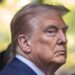 Trump Loyalty Test पर अमेरिकी कोर्ट की रोक, सरकारी नौकरी के आवेदकों से नीतियों पर सवाल पूछने पर पाबंदी