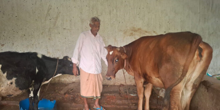 पीएम किसान सम्मान निधि की बचत से खरीदी पहली गाय, आज 10 गायों के साथ आत्मनिर्भर बने 75 वर्षीय परशुराम गुप्ता….