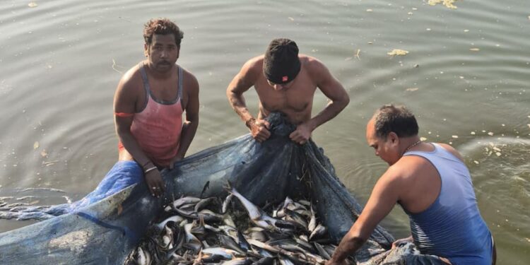 सेवा- संकल्प- अभियान : मत्स्य पालन से संवरी गांधीराम की ज़िंदगी, 0.20 हेक्टेयर के तालाब से सालाना 100 क्विंटल उत्पादन, 8 लाख तक मुनाफा…..