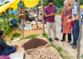 विदेशी पर्यटकों को आकर्षित कर रहा छत्तीसगढ़ का ग्रामीण पर्यटन मॉडल, लमना विलेज स्टे में ब्रिटेन के अतिथियों ने ग्रामीण जीवन, स्थानीय संस्कृति और हाट-बाजार का लिया अनुभव….