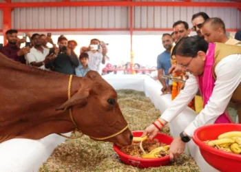 Uttarakhand News: खटीमा में विकास का डबल डोज! गौशाला का लोकार्पण, 108.84 करोड़ की 15 योजनाओं का शिलान्यास; 34.44 करोड़ से सड़क का होगा कायाकल्प….
