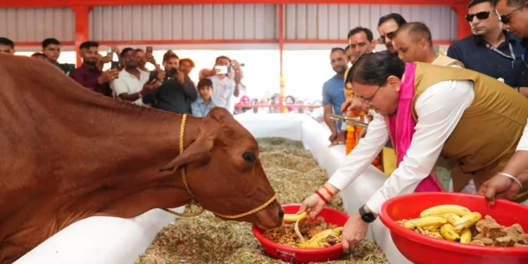 Uttarakhand News: खटीमा में विकास का डबल डोज! गौशाला का लोकार्पण, 108.84 करोड़ की 15 योजनाओं का शिलान्यास; 34.44 करोड़ से सड़क का होगा कायाकल्प….