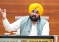 पंजाब में नशे के खिलाफ बड़ा एक्शन, ₹20.64 करोड़ की दवाएं जब्त; 520 केमिस्टों के लाइसेंस सस्पेंड