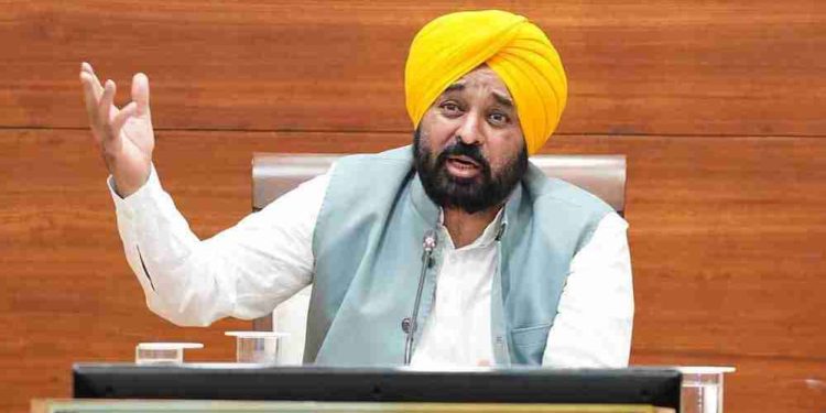 पंजाब में नशे के खिलाफ बड़ा एक्शन, ₹20.64 करोड़ की दवाएं जब्त; 520 केमिस्टों के लाइसेंस सस्पेंड