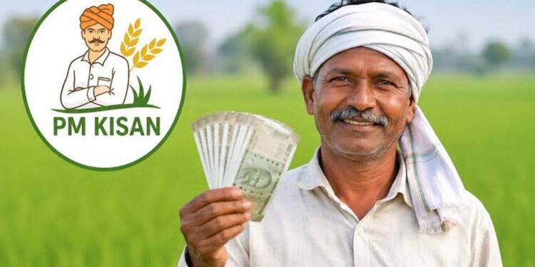 PM Kisan 24वीं किस्त पर बड़ा अपडेट, अक्टूबर में खाते में आ सकते हैं ₹2,000; जानें पूरी डिटेल