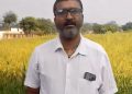 धान की जगह रागी की खेती से दिनेश को मिलेगा 10 हजार रुपये का प्रोत्साहन, कृषि विभाग से मिले बीज और तकनीकी मार्गदर्शन से एक एकड़ में तैयार हुई रागी की फसल……