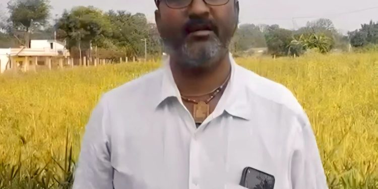 धान की जगह रागी की खेती से दिनेश को मिलेगा 10 हजार रुपये का प्रोत्साहन, कृषि विभाग से मिले बीज और तकनीकी मार्गदर्शन से एक एकड़ में तैयार हुई रागी की फसल……