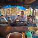 ’सेवा संकल्प अभियान’ : ’सेवा की कहानी: समूह से मिला एक लाख रुपये का सहारा, दुकान और ठेले से आत्मनिर्भर बनीं लाजो’…