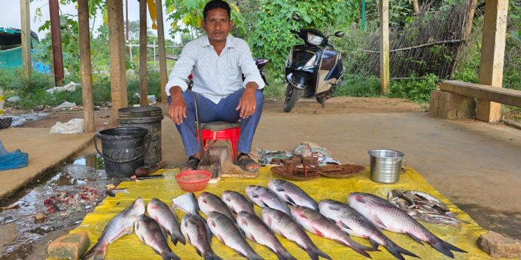 मत्स्य पालन से समृद्ध हो रही सरगुजा की ग्रामीण अर्थव्यवस्था, किसानों और महिलाओं के लिए खुल रहे स्वरोजगार के नए अवसर….