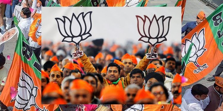गांधीनगर नगर निगम चुनाव में BJP की बड़ी जीत, 44 में से 38 सीटों पर कब्जा; कांग्रेस को मिलीं 5 सीटें