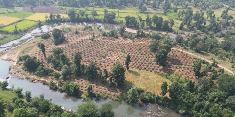 जल संरक्षण से बदलेगी दर्री की तस्वीर, 24 लाख 30 हजार लीटर वर्षा जल सहेजने की अनूठी पहल, मरवाही के डोंगरी टोला में निर्मित 3 हजार कंटूर ट्रेंच बनेंगे जल संरक्षण का मजबूत आधार, 250 परिवारों को मिलेगी राहत….